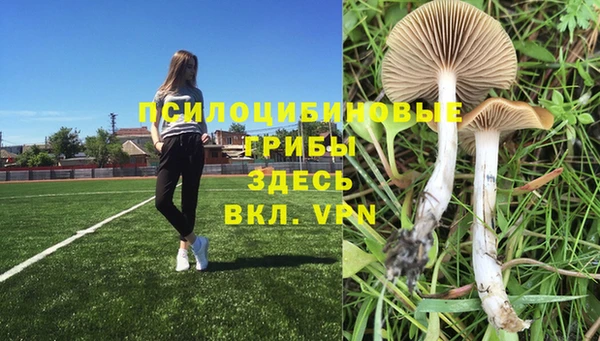 кокаин перу Белокуриха
