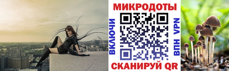 продажа наркотиков  гидра ССЫЛКА  Псилоцибиновые грибы мицелий  Кемерово 