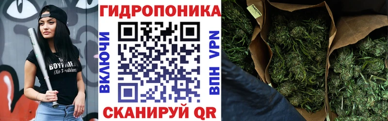 Марихуана семена где продают Кемерово